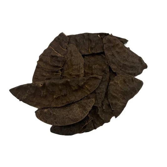 جار نواد نخب اول